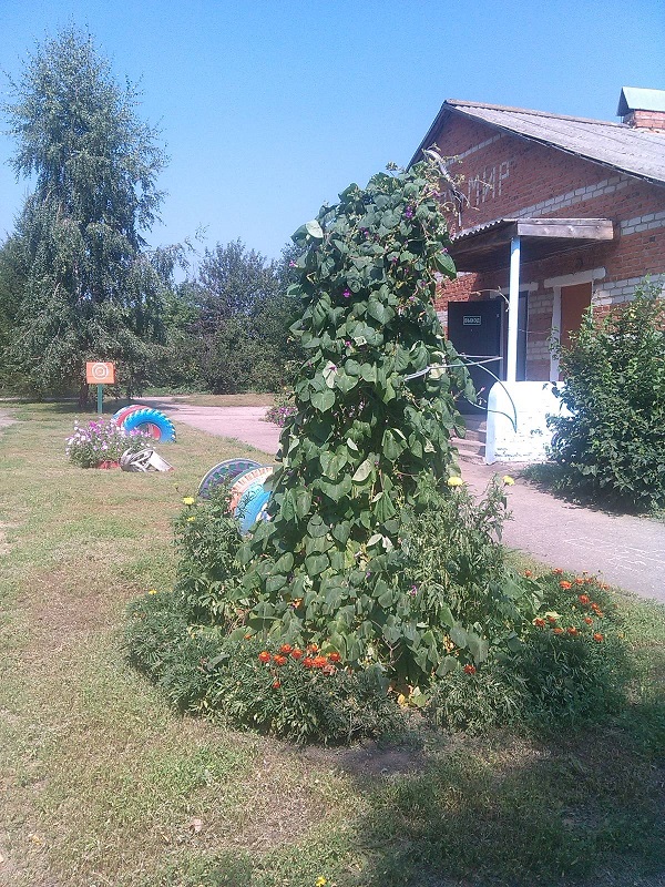 фото структурного подразделения